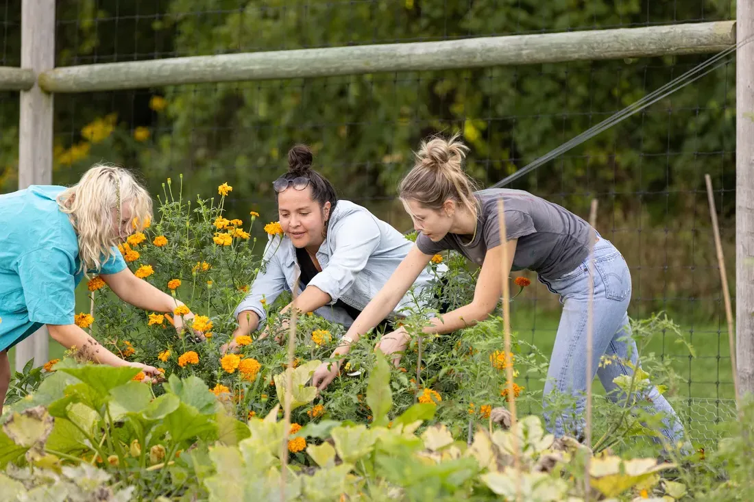 Students sitting outside gardening.